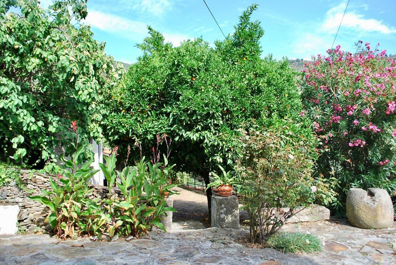 Casa De Mendiz Βίλα Vale de Mendiz Εξωτερικό φωτογραφία