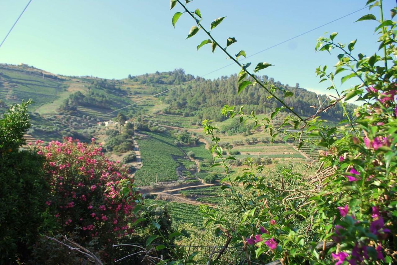 Casa De Mendiz Βίλα Vale de Mendiz Εξωτερικό φωτογραφία